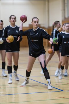 Bild 164 - wBJ TSV Ellerau - HSG Stoertal Hummeln : Ergebnis: 26:19